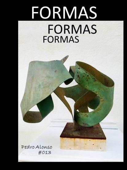 FORMS #013
